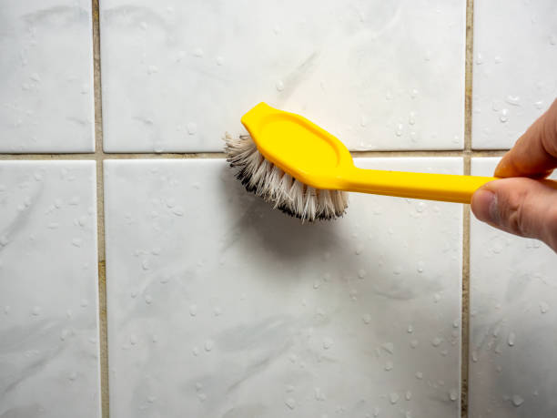 Trusted New Castle, DE Mold Remediation Experts