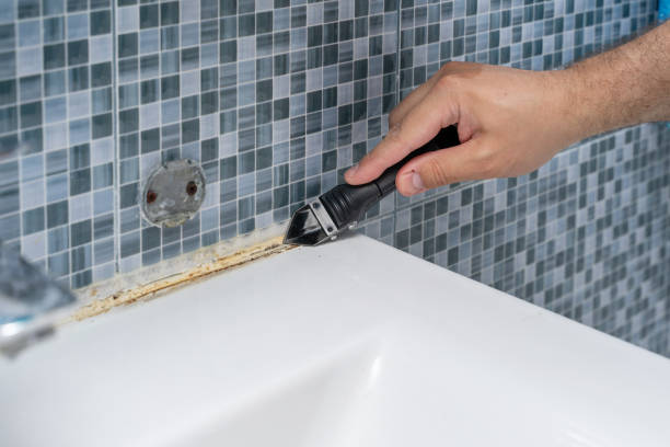 Best DIY Mold Remediation Support Services in New Castle, DE